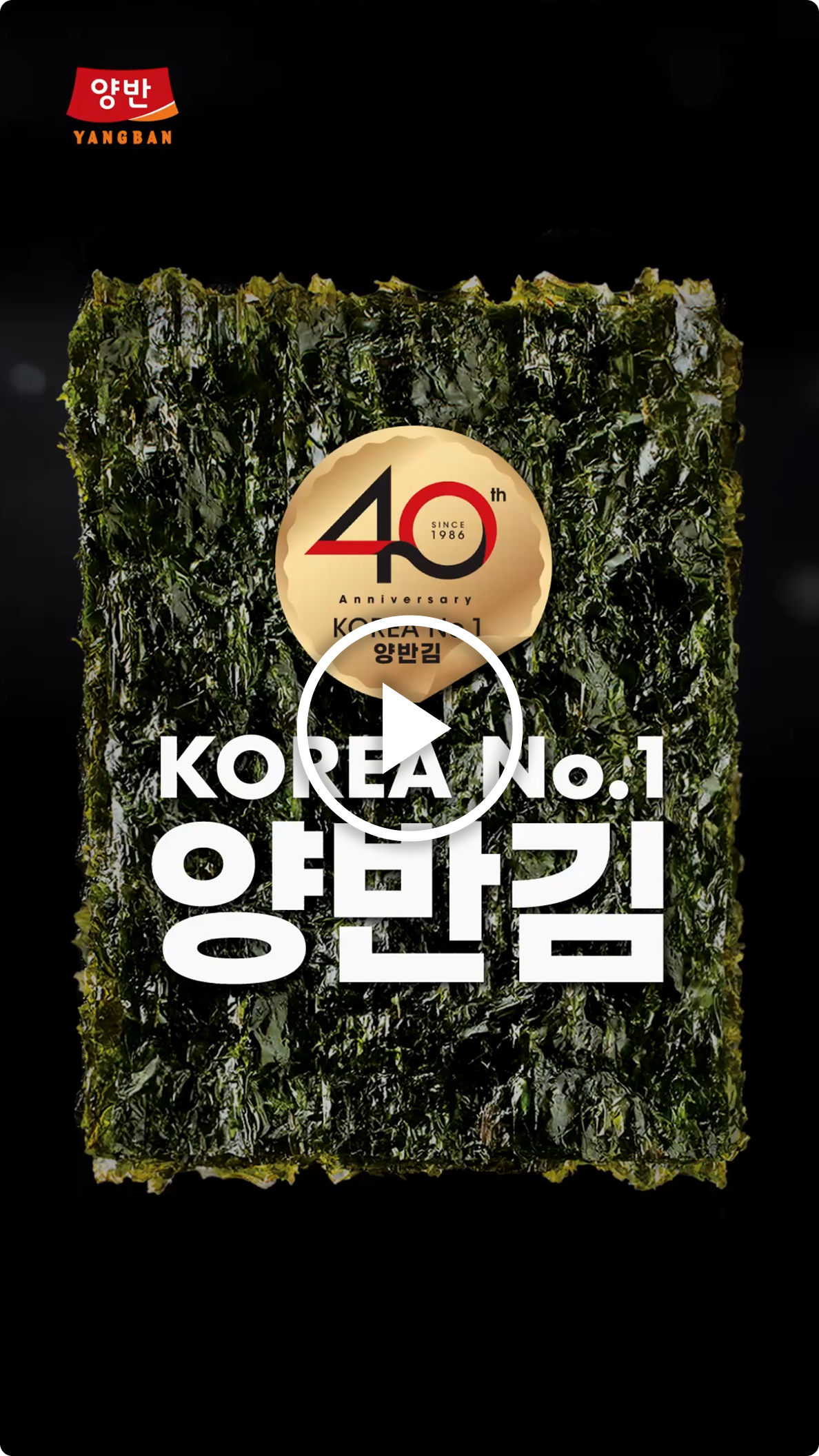 영상 재생